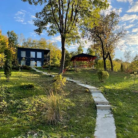 Casa De Pe Un Deal-Provita De Sus-Prahova Extérieur photo