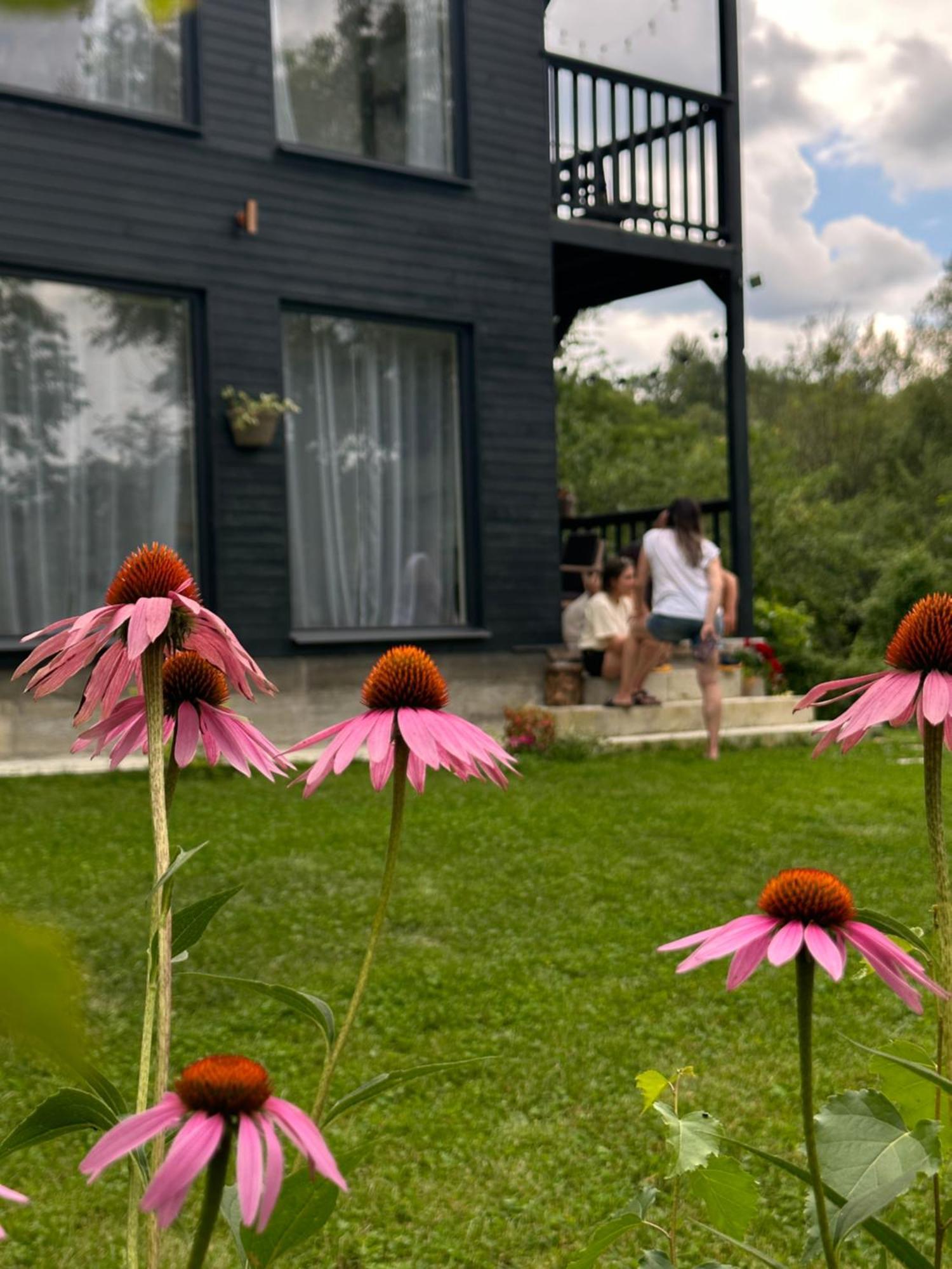 Casa De Pe Un Deal-Provita De Sus-Prahova Extérieur photo