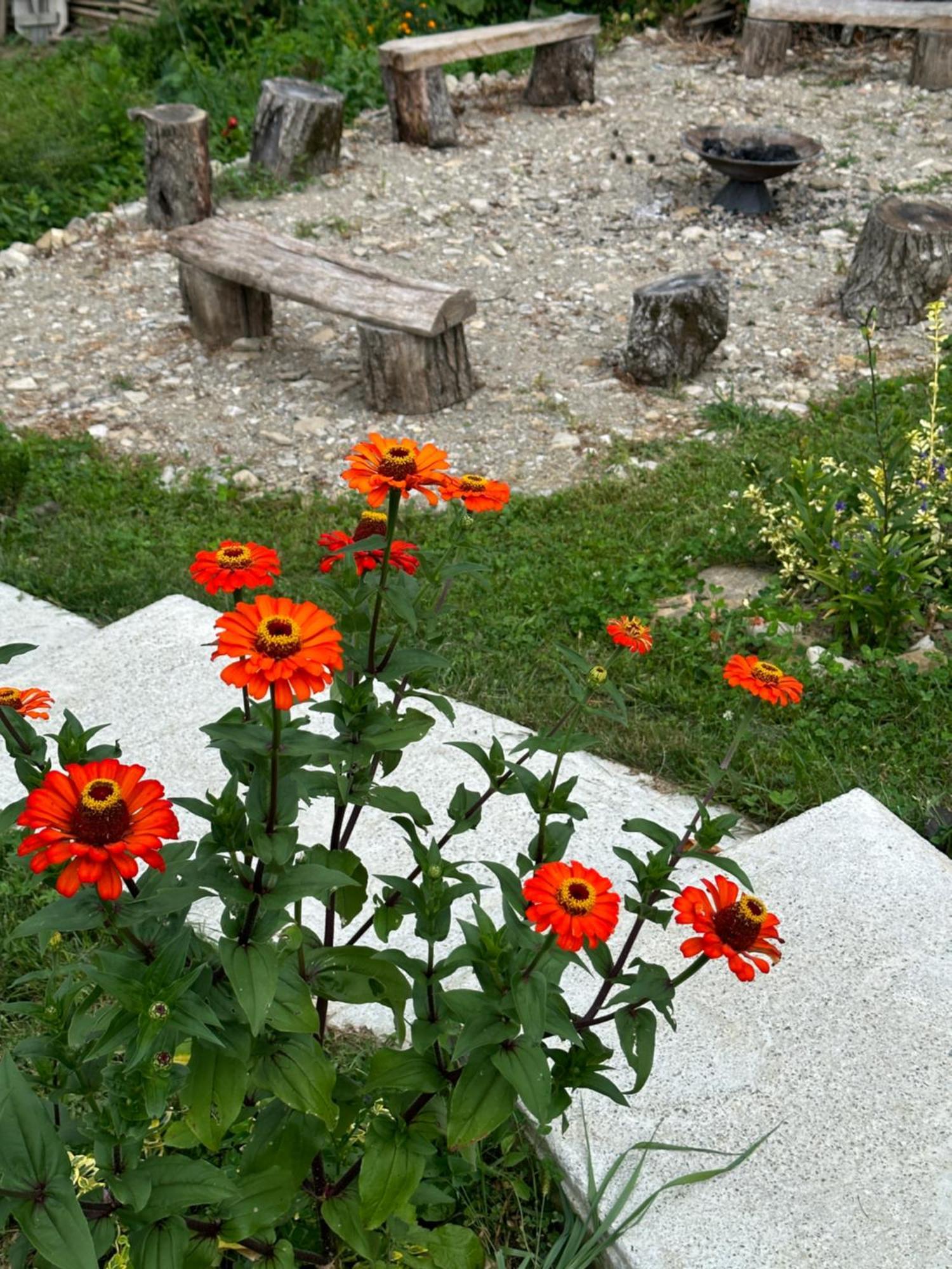 Casa De Pe Un Deal-Provita De Sus-Prahova Extérieur photo